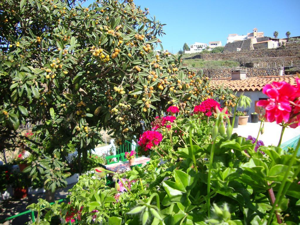 Casa Rural Isabel Villa Vilaflor Buitenkant foto
